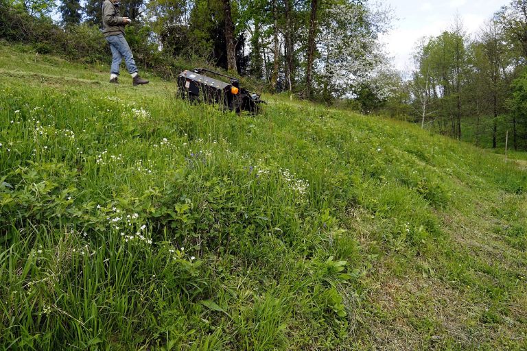 Vigorun cordless track-mounted lawnmower for sale