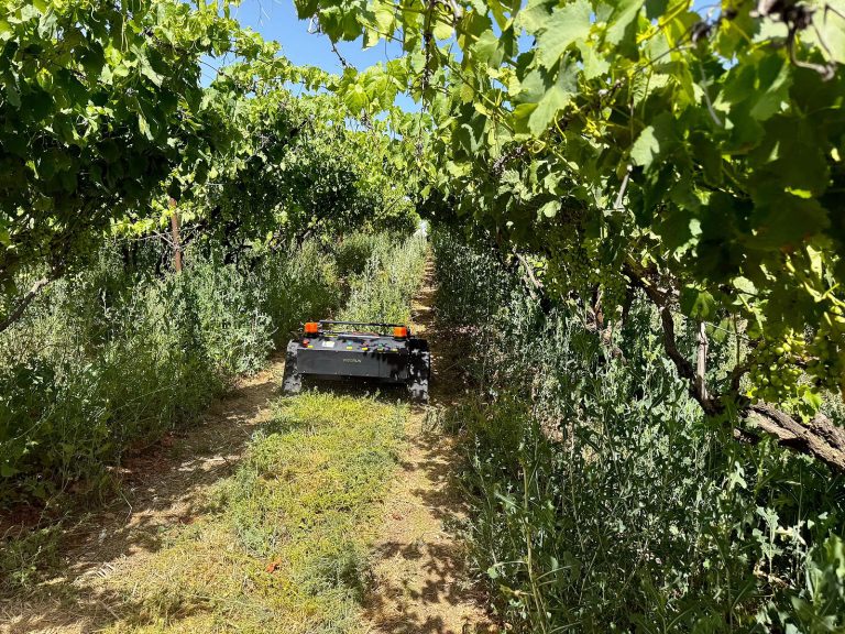 remotely controlled track-mounted weed trimmer made by Vigorun Tech